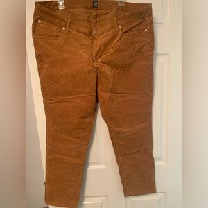 Gap Brown Corduroy Pants size 35R